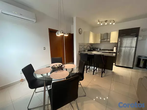 apartamentos - Apartamento en Alquiler en Piantini Amueblado de U 3