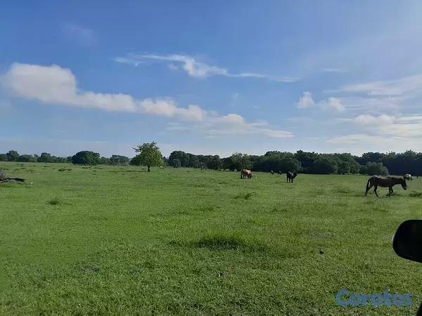 solares y terrenos - 🔵 Finca de 2,178.54 TAREAS en Guayubin, Cabeza de  2