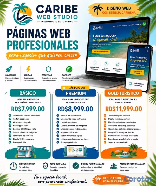 servicios profesionales - Diseño de Páginas Web Modernas y Profesionales des 2