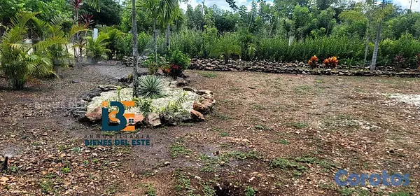 solares y terrenos - SE VENDE DE OPORTUNIDAD Excelente Finca con 3,000  2