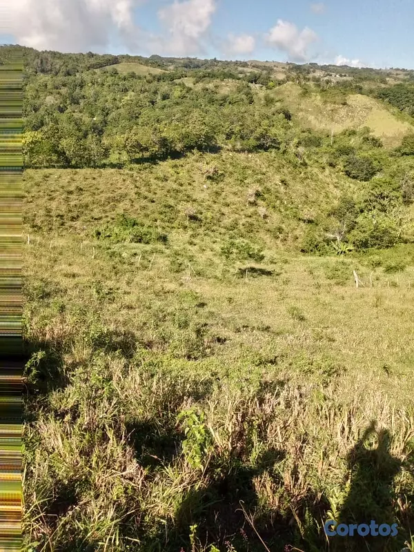 solares y terrenos - finca ganadera en moca  2