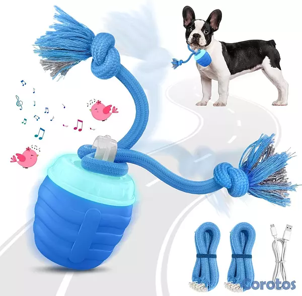 animales y mascotas - Juguete interactivo para perro - Pelotas activadas 3
