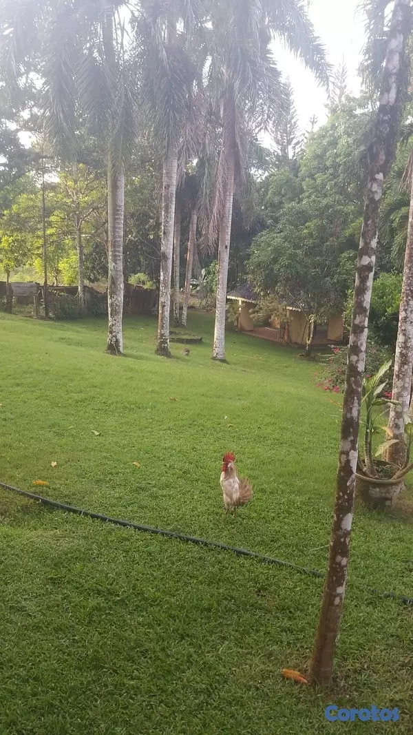 solares y terrenos - venta de Finca en guerra con 145 tareas República Dominicana  10