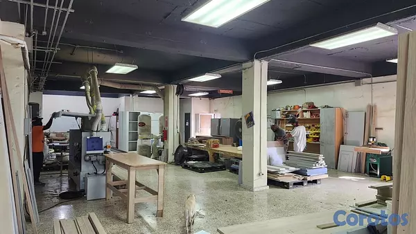 oficinas y locales comerciales - LOCAL COMERCIAL  5