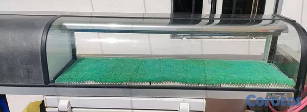 equipos profesionales - Venta de vitrina sushera refrigerada  3