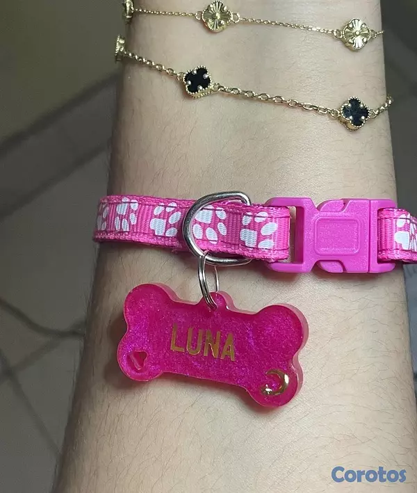 animales y mascotas - Chapillas y collares personalizados para perros y gatos 7