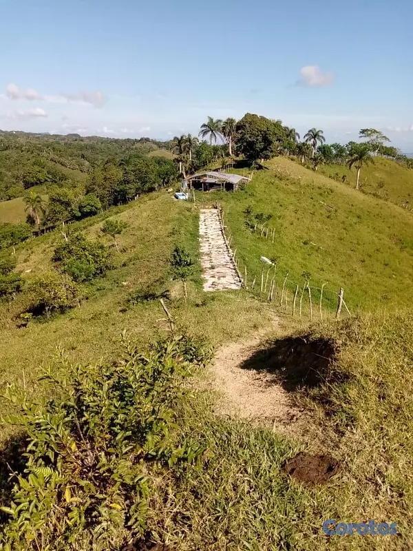 solares y terrenos - finca ganadera en moca  4