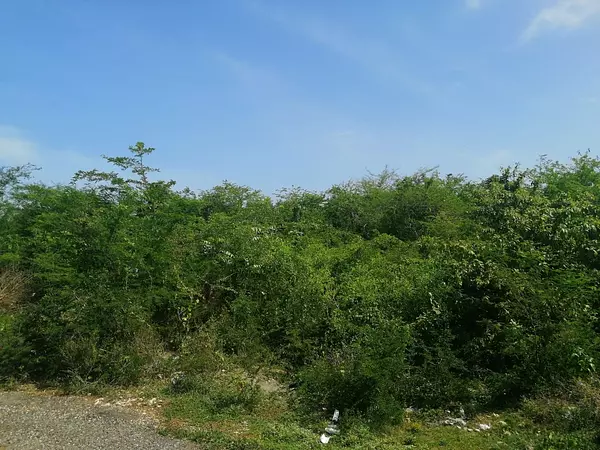 solares y terrenos - Terreno de 90,000 metros cuadrados, Autopista de San Isidro 1