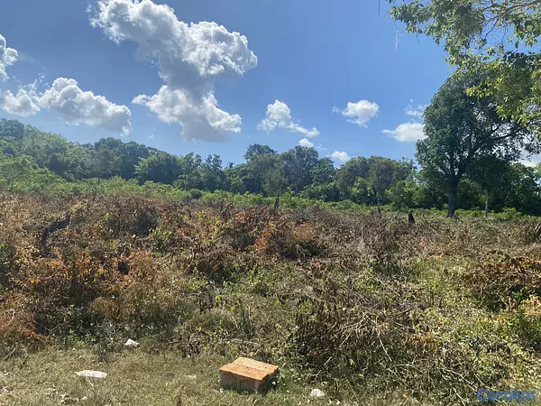 solares y terrenos - terreno de 20 mil mts en sosua  6