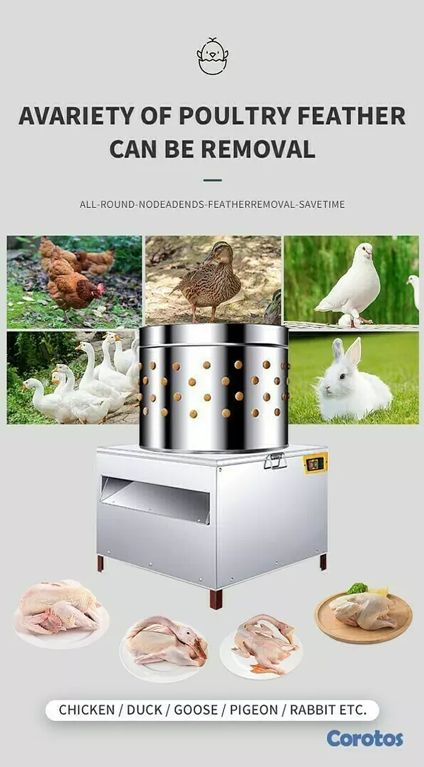 equipos profesionales - Maquina industrial peladora de ave pollo pato ganso y conejo pelador desplumador 2