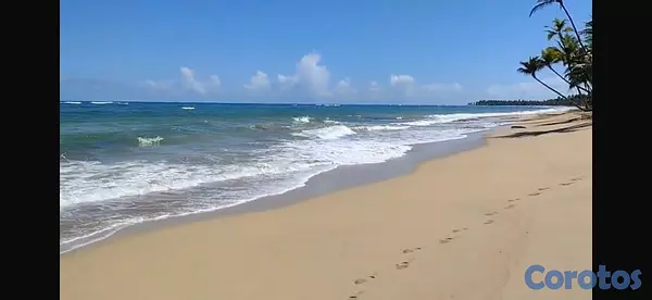 solares y terrenos - Terreno Frente a la playa - 17,615 m² - Sabana de  4