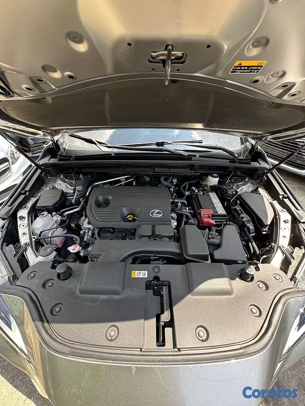 jeepetas y camionetas - Lexus NX-250 AWD 2024 10
