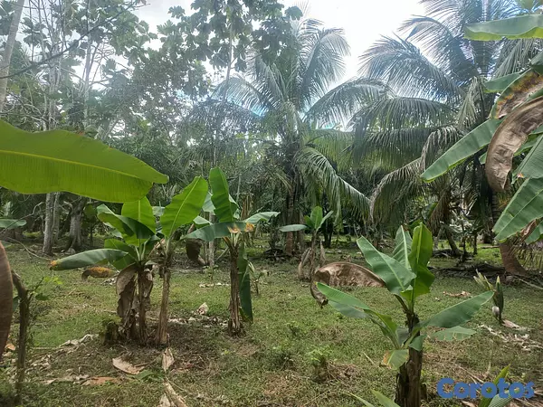 solares y terrenos - Venta finca 9