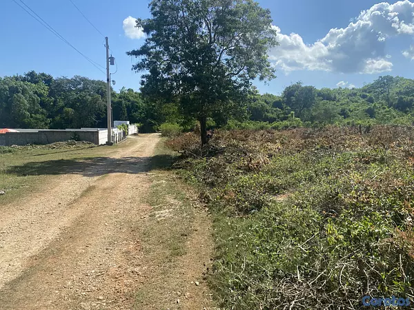 solares y terrenos - terreno de 20 mil mts en sosua  4