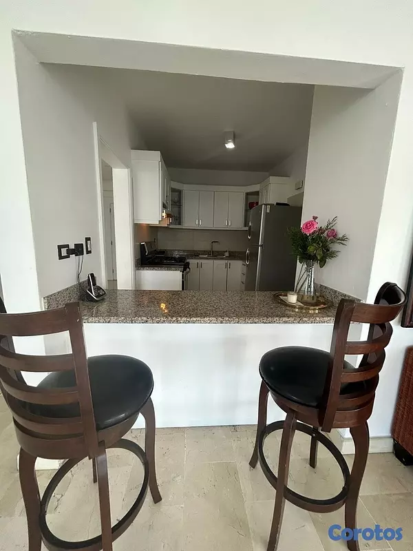 apartamentos - venta de apartamento en el renacimiento Distrito nacional con 197.89mts piso 5  8