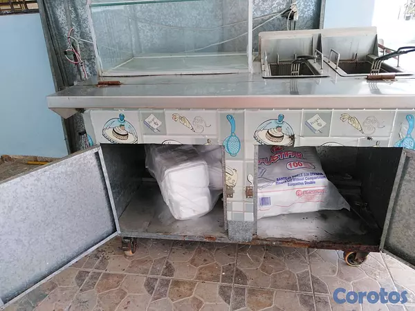 equipos profesionales - Carrito de frituras, empanadas o pollo.  4