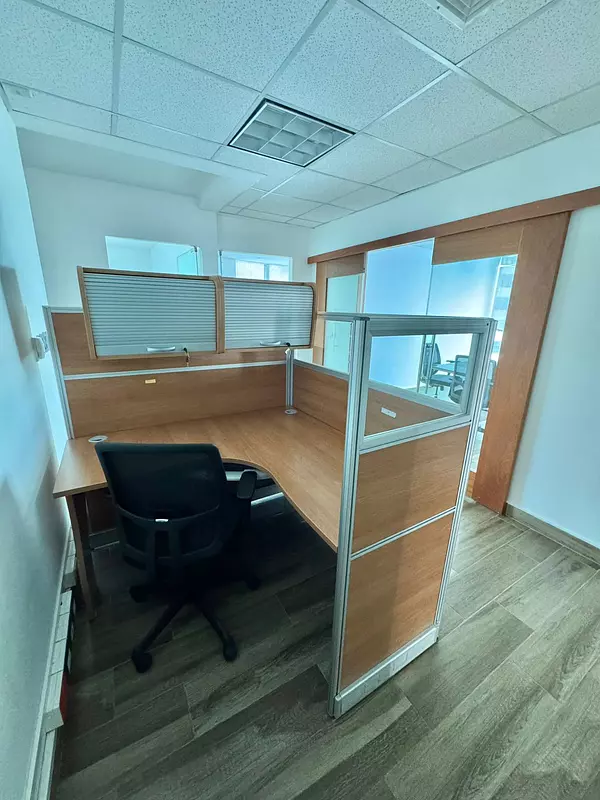 oficinas y locales comerciales - Alquilo Oficina Corporativa en La Esperilla 10