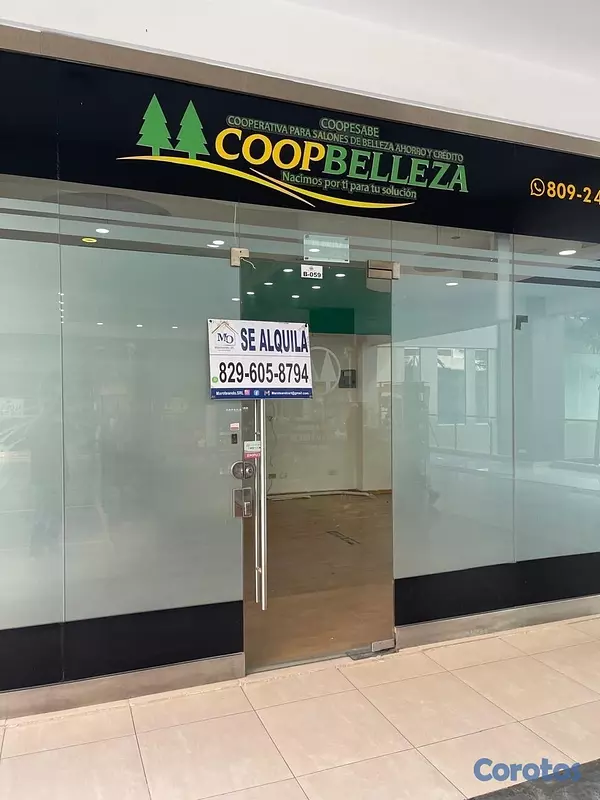 oficinas y locales comerciales - Alquilo Local Comercial en Santiago, Céntrico  4