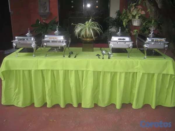 decoración y accesorios - MANTELES, Y TOPES PARA MESAS DE 60" DE DIÁMETRO Y BAMBALINAS DE 96" MESAS BUFFET 6