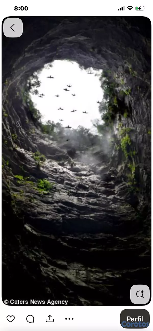 servicios profesionales - todo esto solo por 3200 2