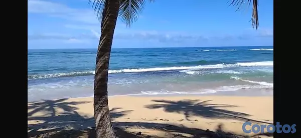 solares y terrenos - Terreno Frente a la playa - 17,615 m² - Sabana de  3