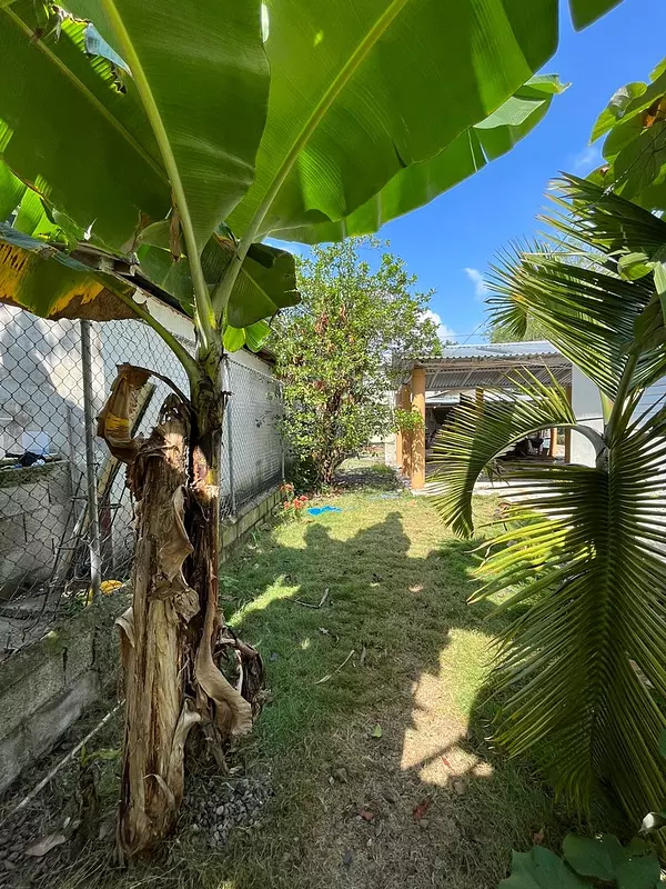 solares y terrenos - Terreno Disponible en Monte Adentro  5