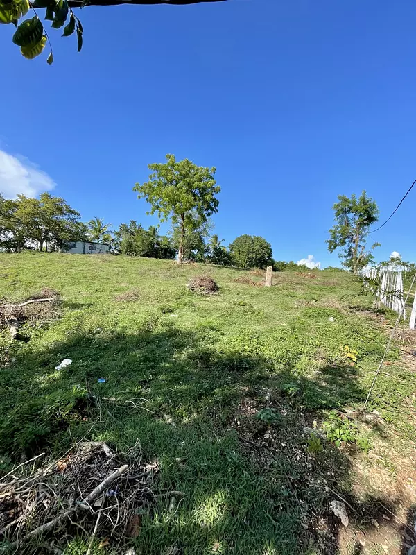 solares y terrenos - Terreno en Benerito – 12km de Bayahibe 5