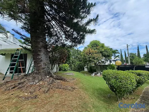 casas - 🔵Alquilo Casa  para oficina 2 niveles en arroyo ho 7