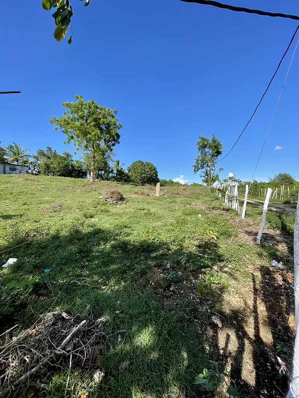 solares y terrenos - Terreno en Benerito – 12km de Bayahibe 2