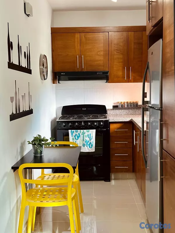 apartamentos - En venta Penthouse amueblado en Santiago De Los Caballeros 9