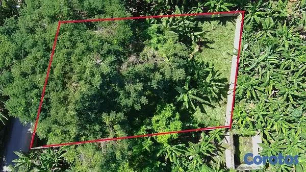 solares y terrenos - SOLAR DE 654m2/Samanà  2