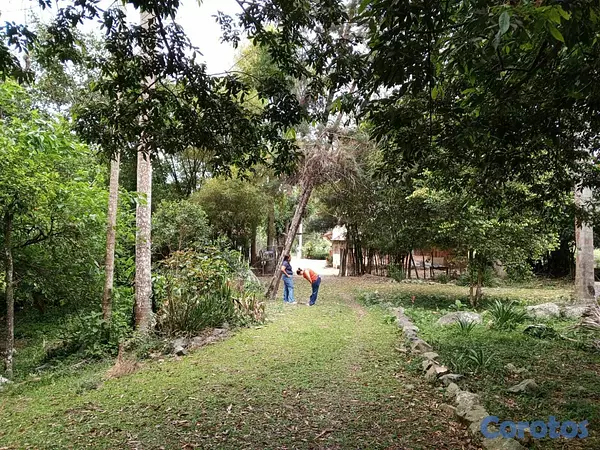 solares y terrenos - VENTA TERRENO CON RIO EN MANABAO, JARABACOA 5