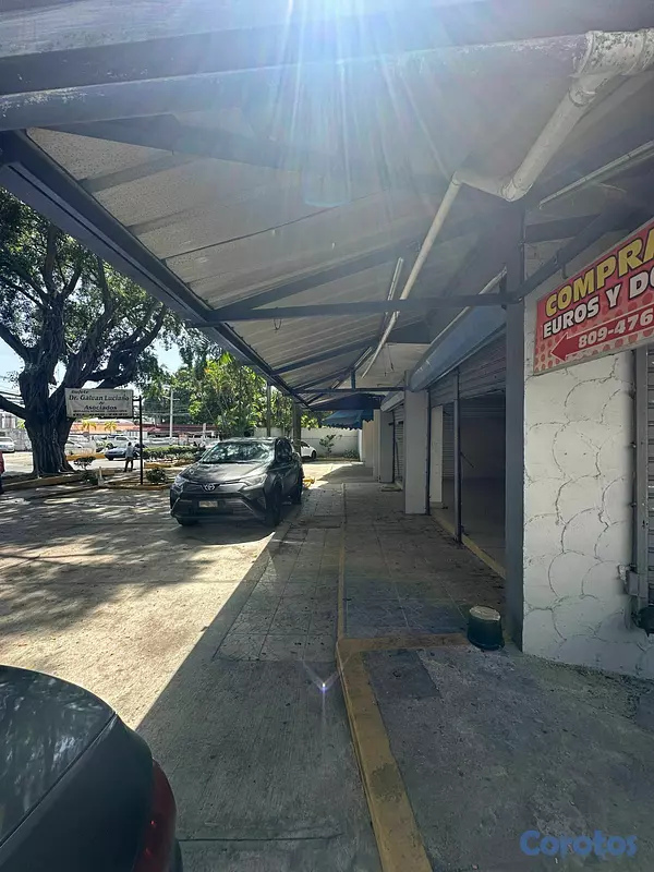 oficinas y locales comerciales - RENTO LOCAR COMERCIAL- EN EL SECTOR GAZCUE  5