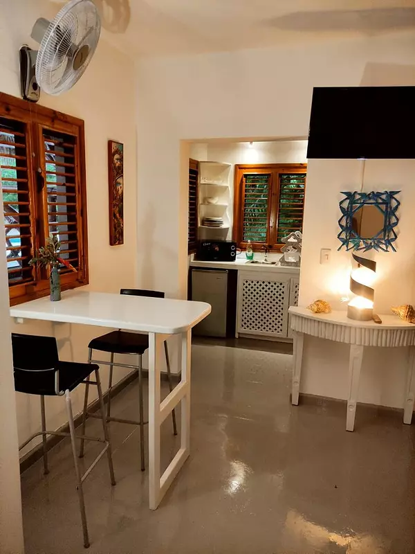 apartamentos - Alquiler Apartamento Amueblado de 1 habitación, Playa Bonita, Las Terrenas 3