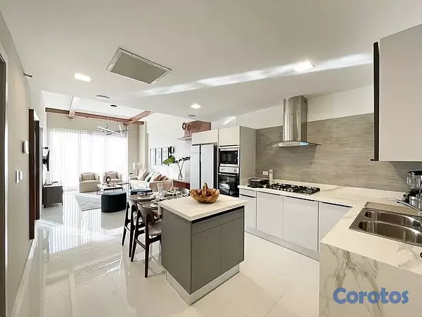apartamentos - Alquiler de Apartamento Amueblado en Piantini 4