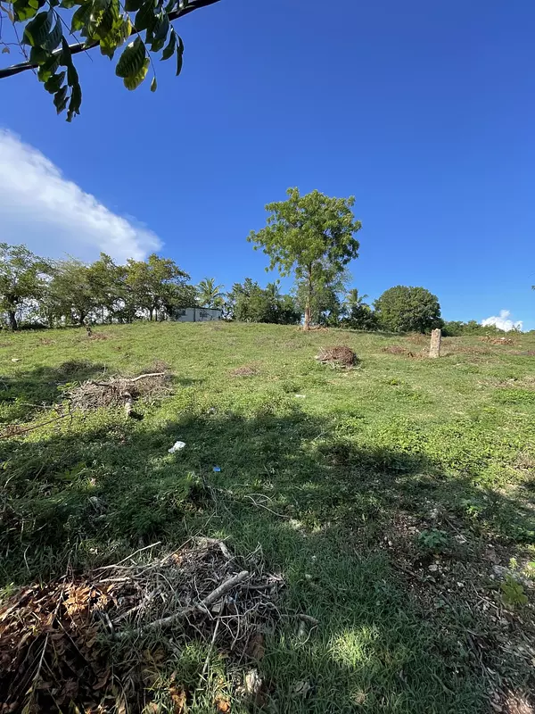 solares y terrenos - Terreno en Benerito – 12km de Bayahibe 4