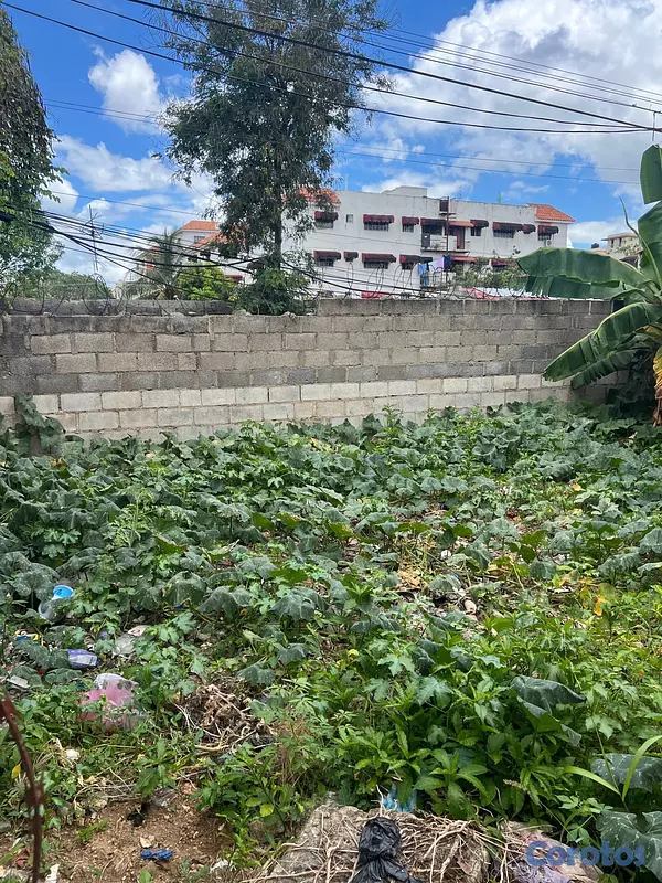casas - Casa en venta. Ubicada en Alma Rosa II. con gran p 7