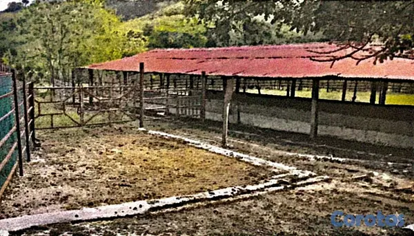 solares y terrenos - finca de 729 tareas en san José de las matas  17