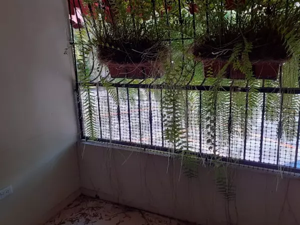 apartamentos - VENDO APARTAMENTO EN ARROYO HONDO III 2