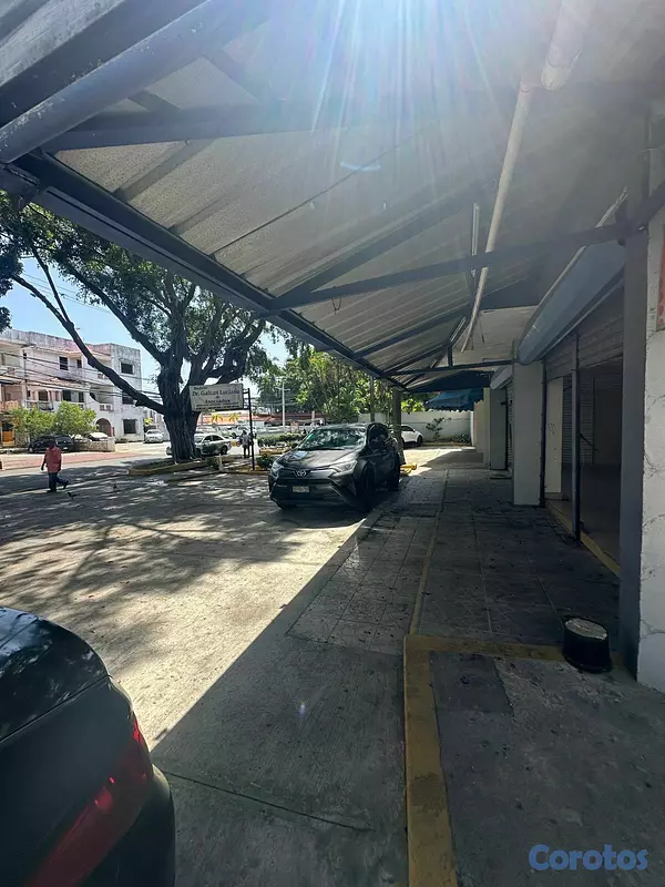 oficinas y locales comerciales - RENTO LOCAR COMERCIAL- EN EL SECTOR GAZCUE  6
