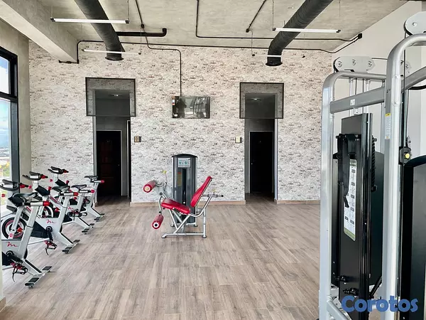 apartamentos - Apartamento amueblado de 1 hab en Urb. Real  10