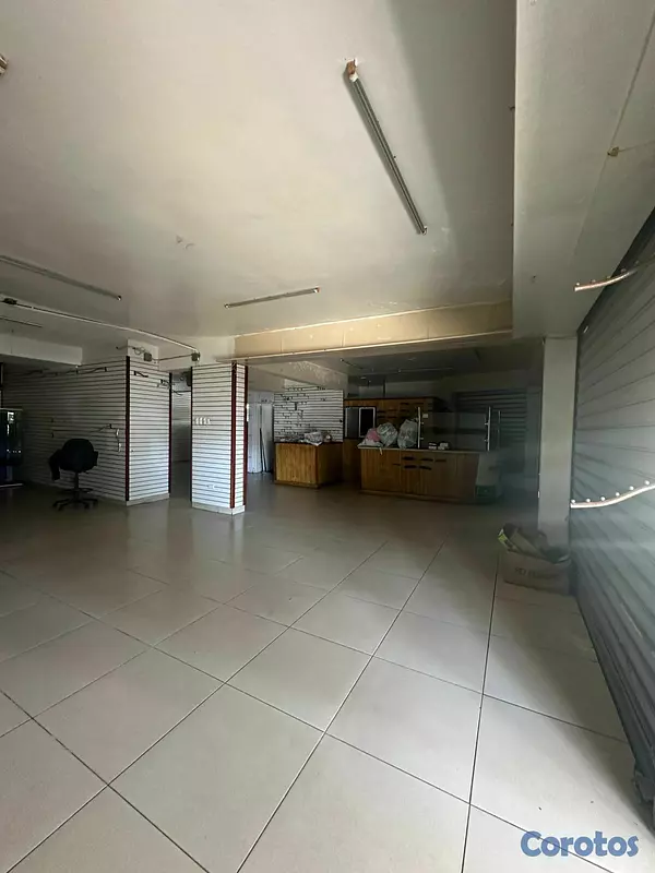oficinas y locales comerciales - RENTO LOCAR COMERCIAL- EN EL SECTOR GAZCUE  8