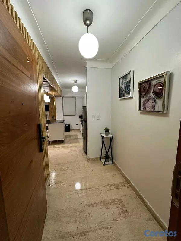 apartamentos - Alquilo apartamento Amueblado en Ensanche Naco  10