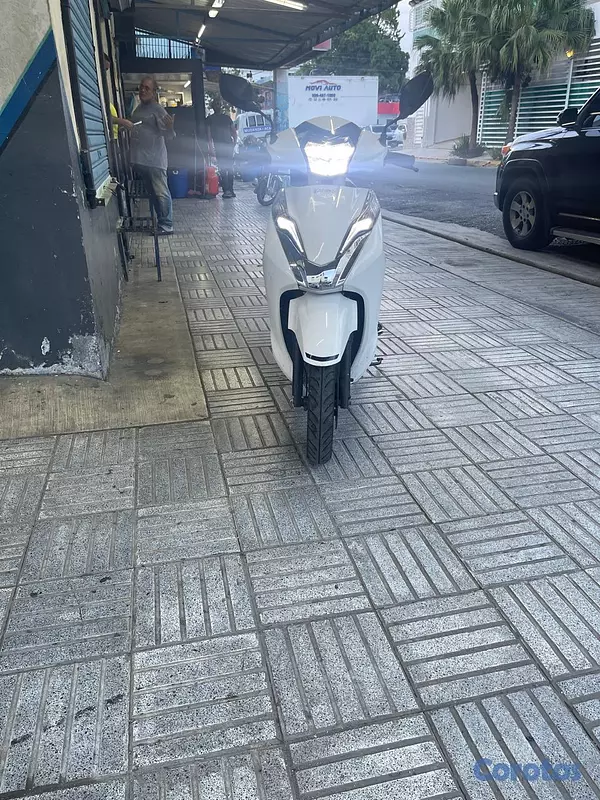 motores y pasolas - TAURO LEAD 2025 6
