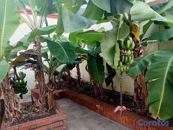 casas - Casa  en venta en zona residencial, avenida Independencia distrito nacional 3