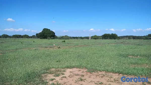 solares y terrenos - Finca Con Titulo 226 Tareas de Tierra.  1