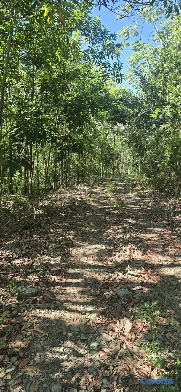 solares y terrenos - Terreno en venta (Jarabacoa)312mt2, Zona Turística 3