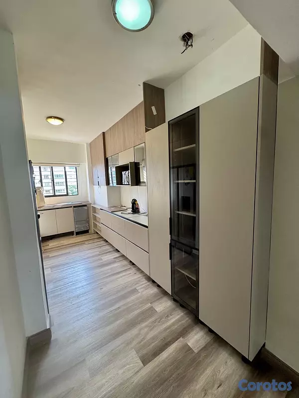 apartamentos - Apt Piantini totalmente renovado moderno 19