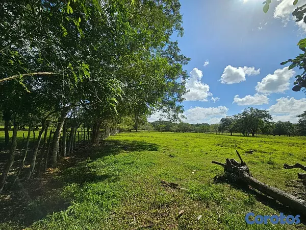solares y terrenos - Gran Finca Ganadera en San Francisco de Macoris de 3