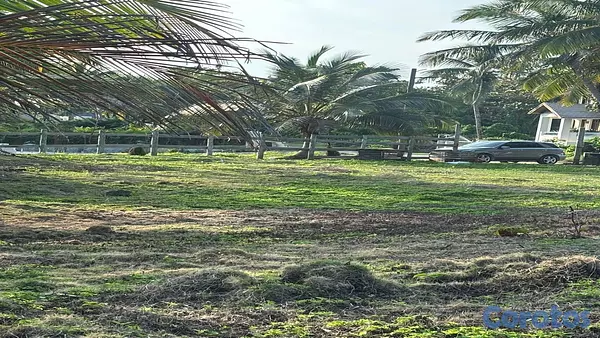 solares y terrenos - Solar Frente al Mar en Cabrera en Venta | 4,499 m² a 5 Minutos de la Playa 5